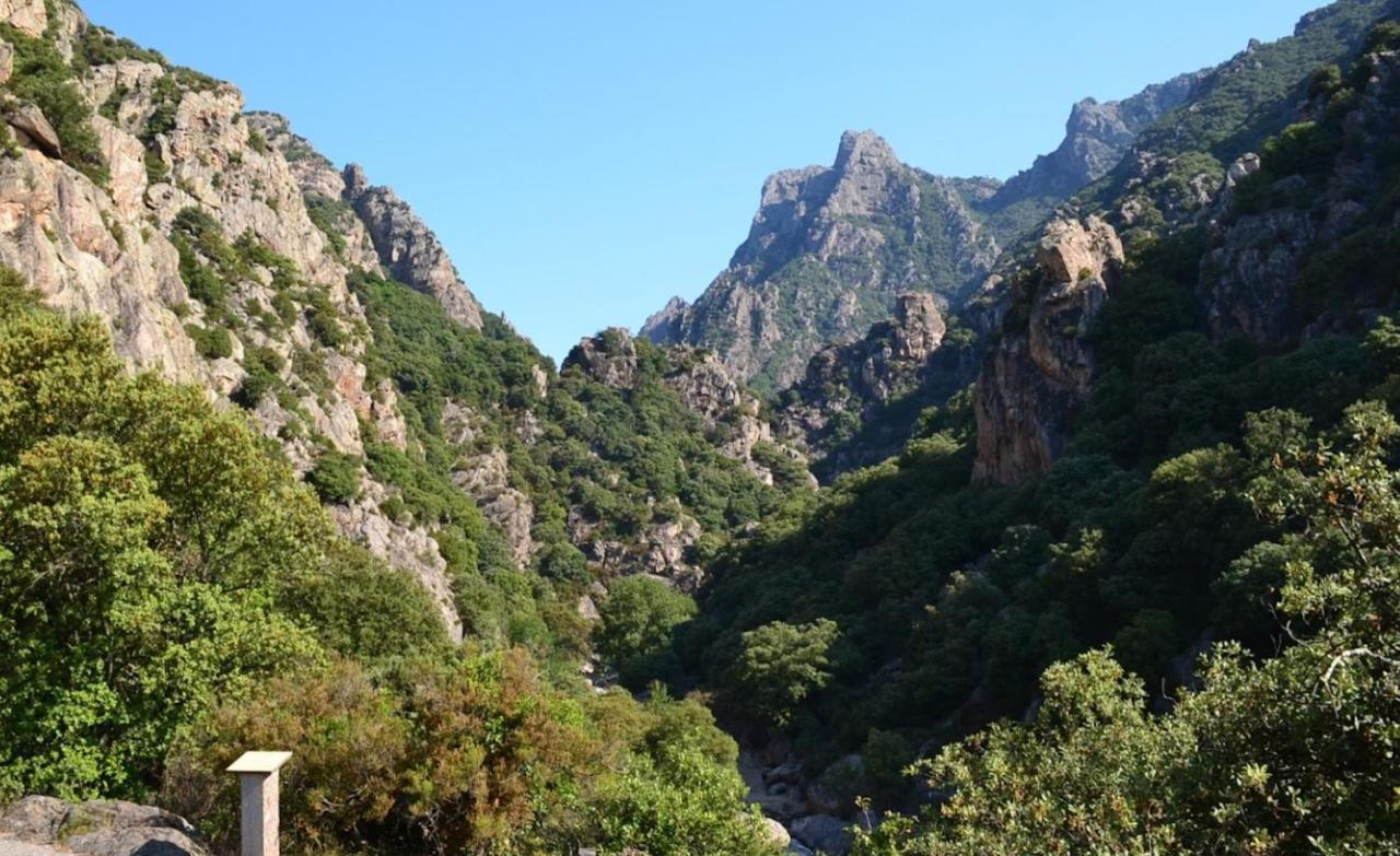 Residence Du Soleil Μπεζιέ Εξωτερικό φωτογραφία
